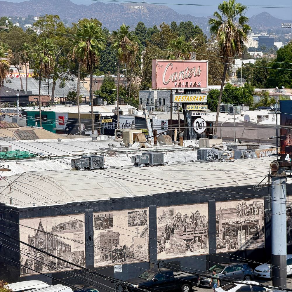 From NYC to LA: Starting a New Chapter