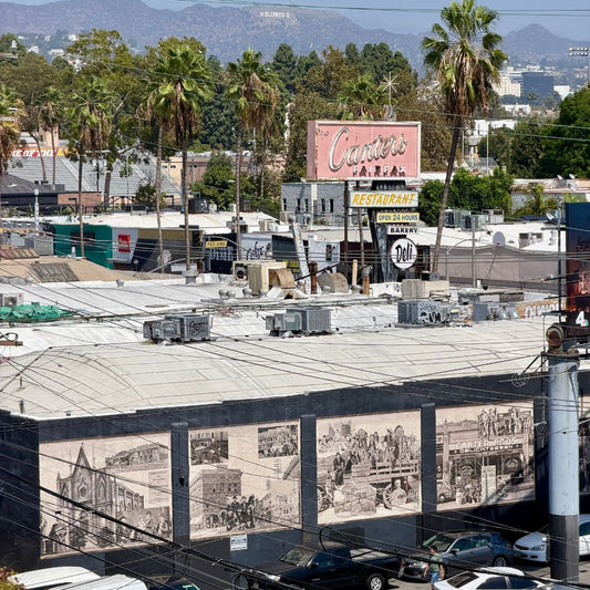 From NYC to LA: Starting a New Chapter